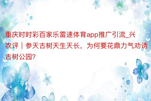 重庆时时彩百家乐雷速体育app推广引流_兴农评｜参天古树天生天长，为何要花鼎力气劝诱古树公园？