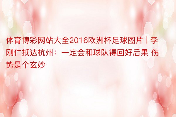 体育博彩网站大全2016欧洲杯足球图片 | 李刚仁抵达杭州：